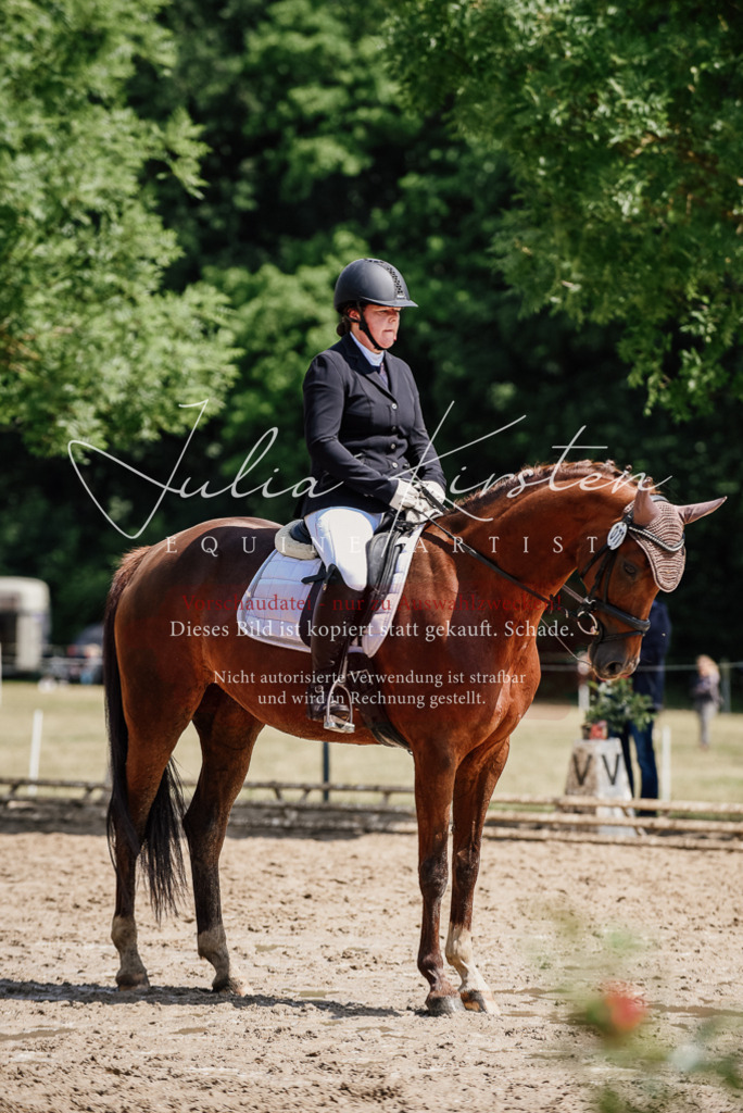 DSC_1347 | Pferde- und Turnierfotografie in Westsachsen. Pferdeportraits, Auftragszeichnungen und intuitive Kunst.