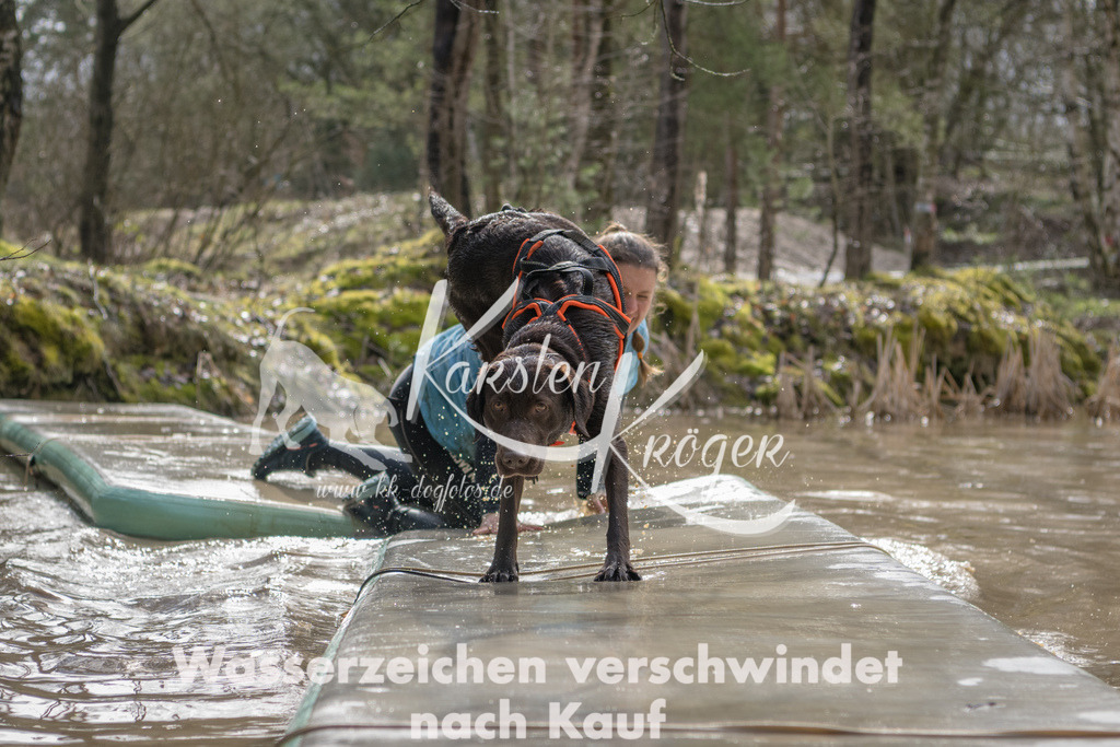 1359_ZZ91174 | kk-dogfotos