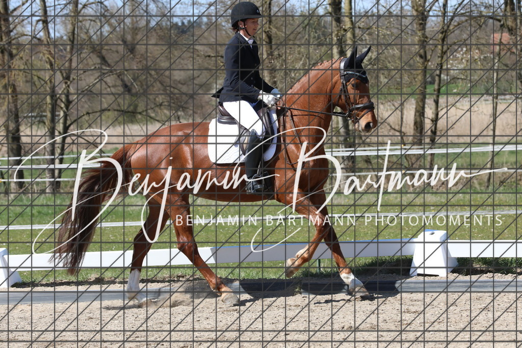 AZ2A4492 | Benjamin Bartmann Photomoments