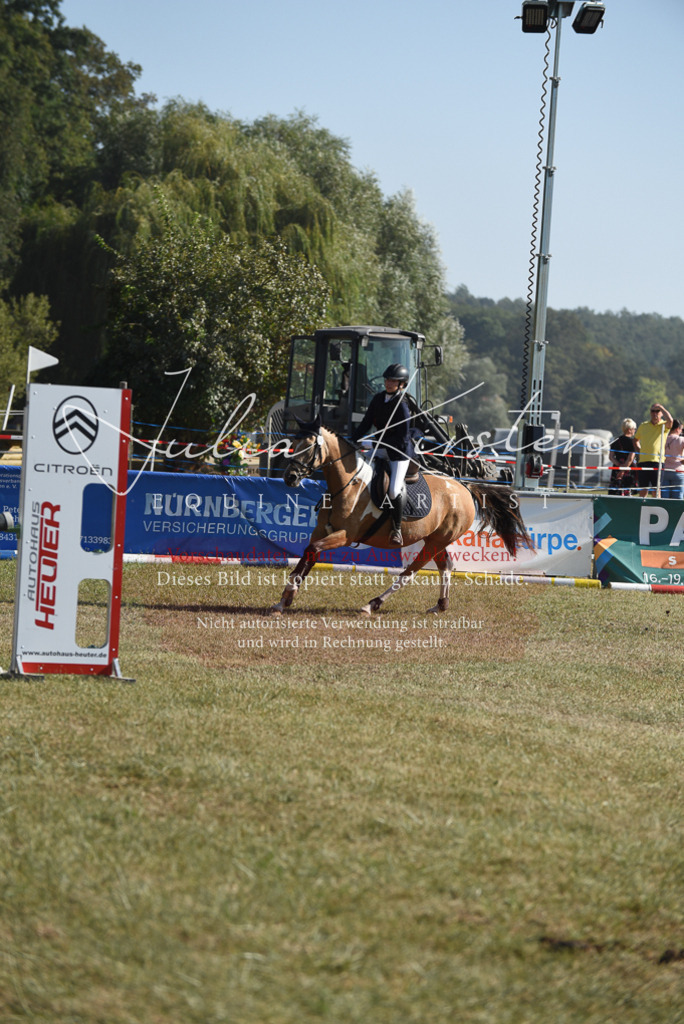DSC_5981 | Pferde- und Turnierfotografie in Westsachsen. Pferdeportraits, Auftragszeichnungen und intuitive Kunst.