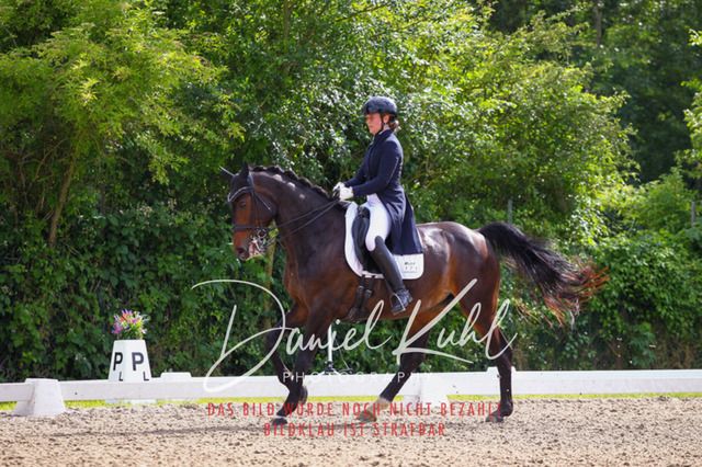 DKP41464 | Turnierfotos kaufen im Webshop von Daniel Kuhl Photography – entdecke professionelle Reitsportfotos aus Turnieren & Events. Hochwertige Turnierbilder online bestellen & sichern. Jetzt Fotos von Reitsportturnieren kaufen!