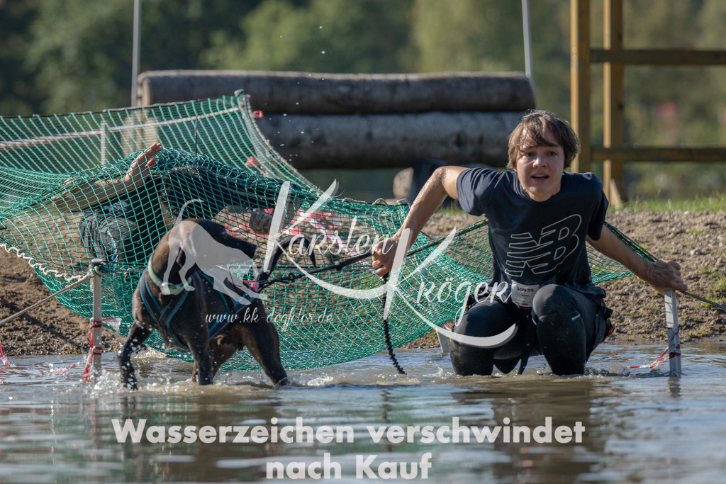 1337_ZZ91160 | kk-dogfotos