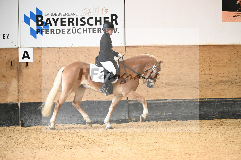 Kat-Nr. 2 Alonso_Alfreider_44240215 | hf-fotografie - Realisiert mit Pictrs.com