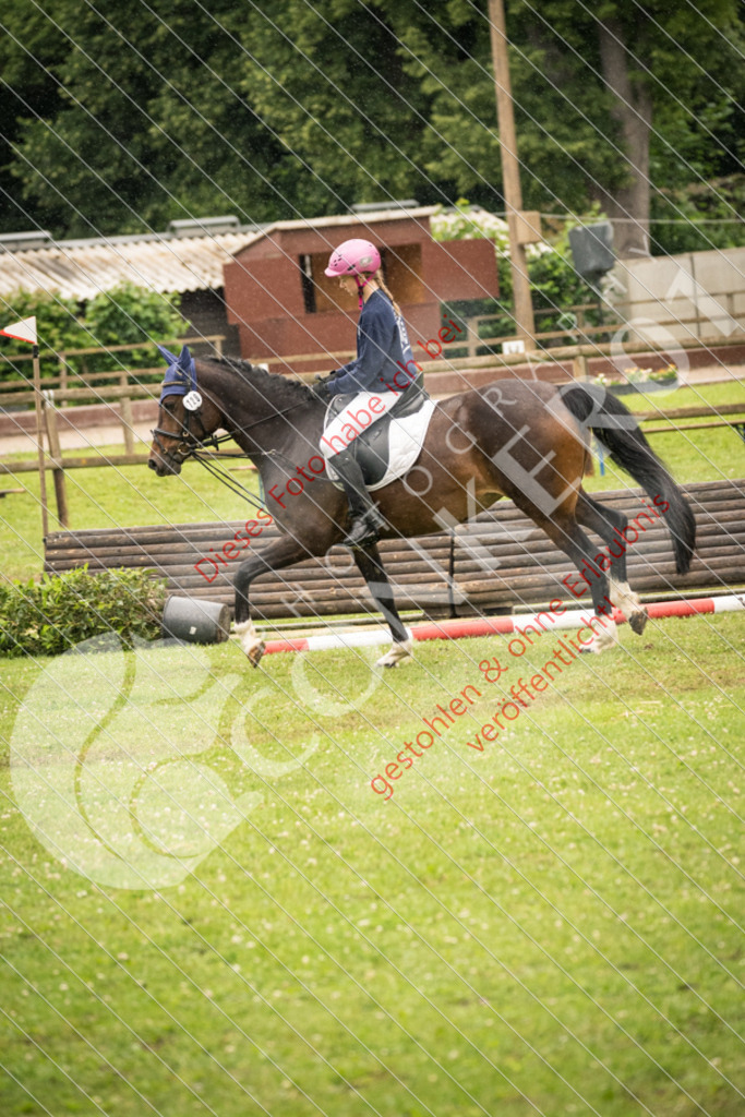 DSC_4771 | Sport-, Event- und Tierfotos in Profiqualität. Einfach auswählen, bestellen und herunterladen. Dein Moment – perfekt festgehalten.