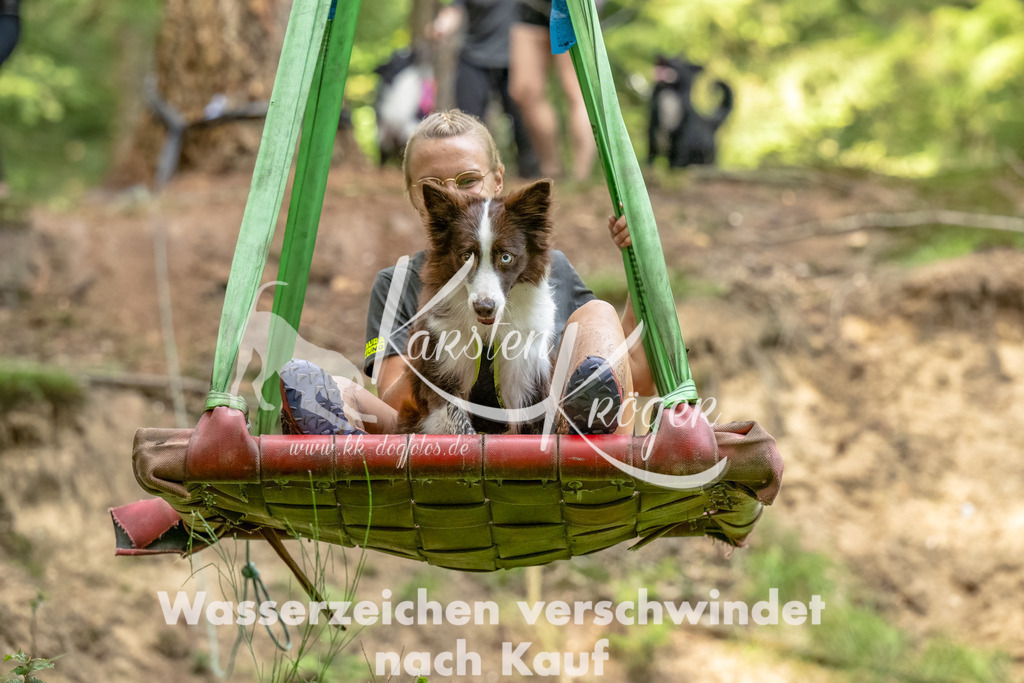 1351_ZZ93842-Bearbeitet | kk-dogfotos