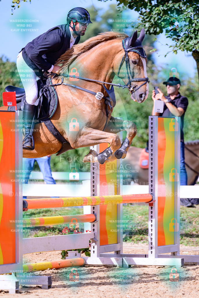 30082026-Giesenbach-Prfg16-0535 | Fokus Hufschlag Fotografie - Realisiert mit Pictrs.com