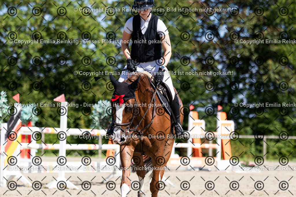 CL5A1230 | Emilia Reinking Fotografie - Realisiert mit Pictrs.com