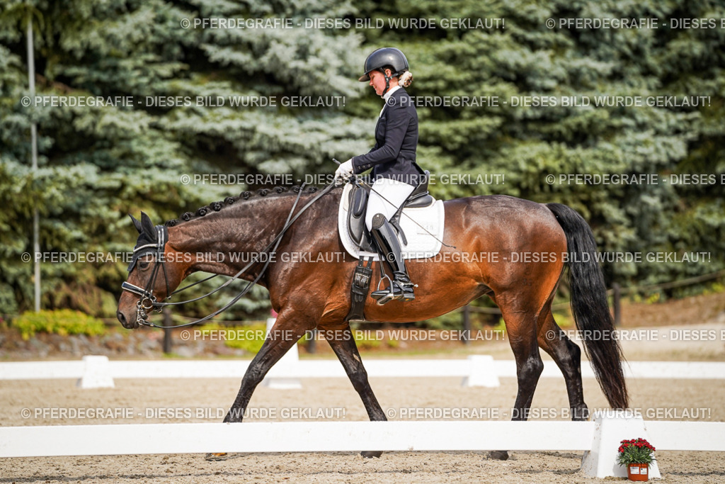 DSC06244 | Pferdegrafie