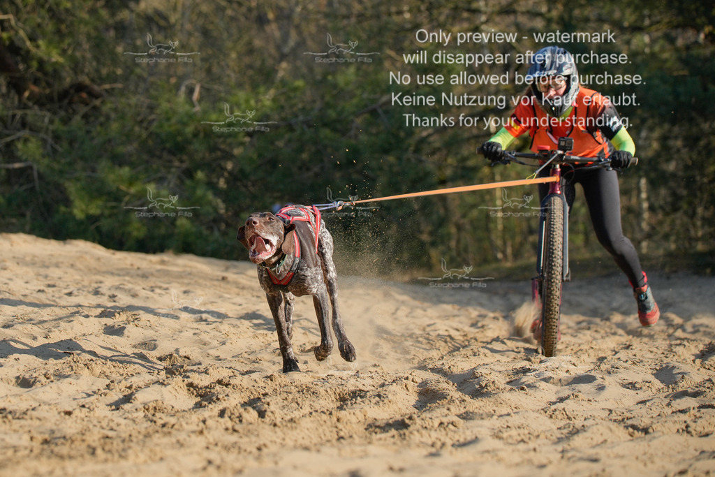 So_Scooter-164 | stephaniefillaphotographie - Realisiert mit Pictrs.com