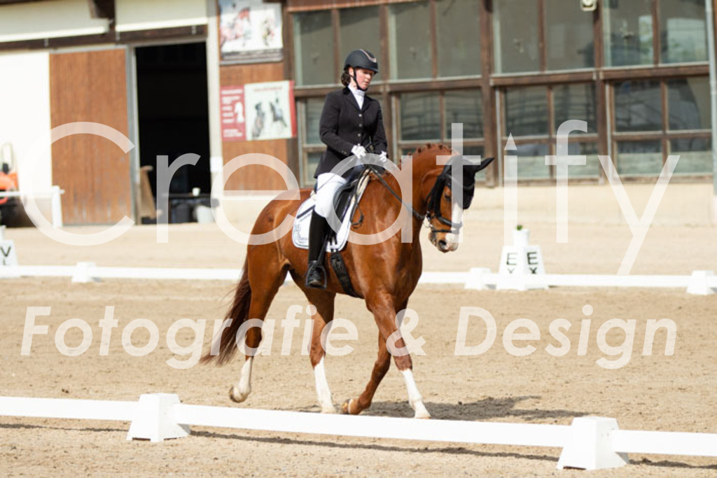 IMG_1326 | Creatify Fotografie