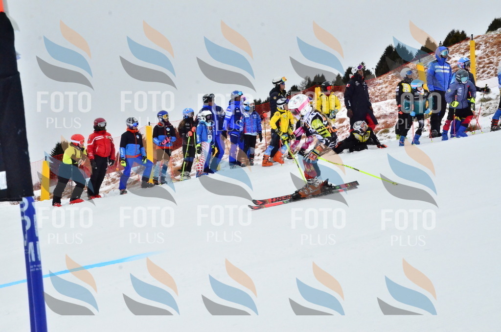 _ELE3208 | holidayphoto