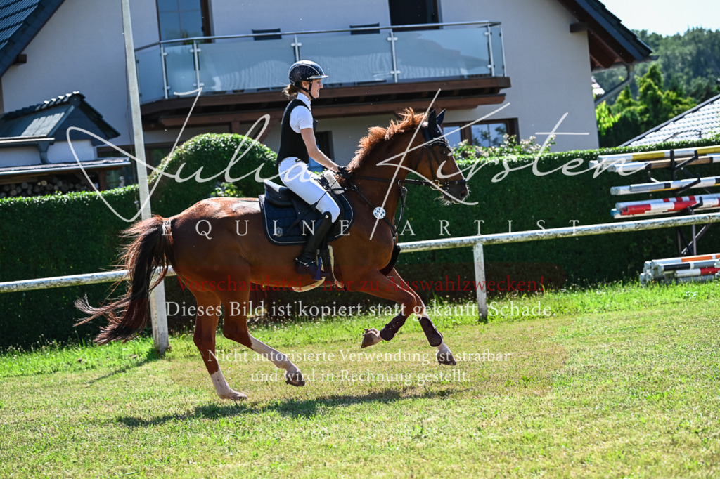 DSC_1166 | Pferde- und Turnierfotografie in Westsachsen. Pferdeportraits, Auftragszeichnungen und intuitive Kunst.