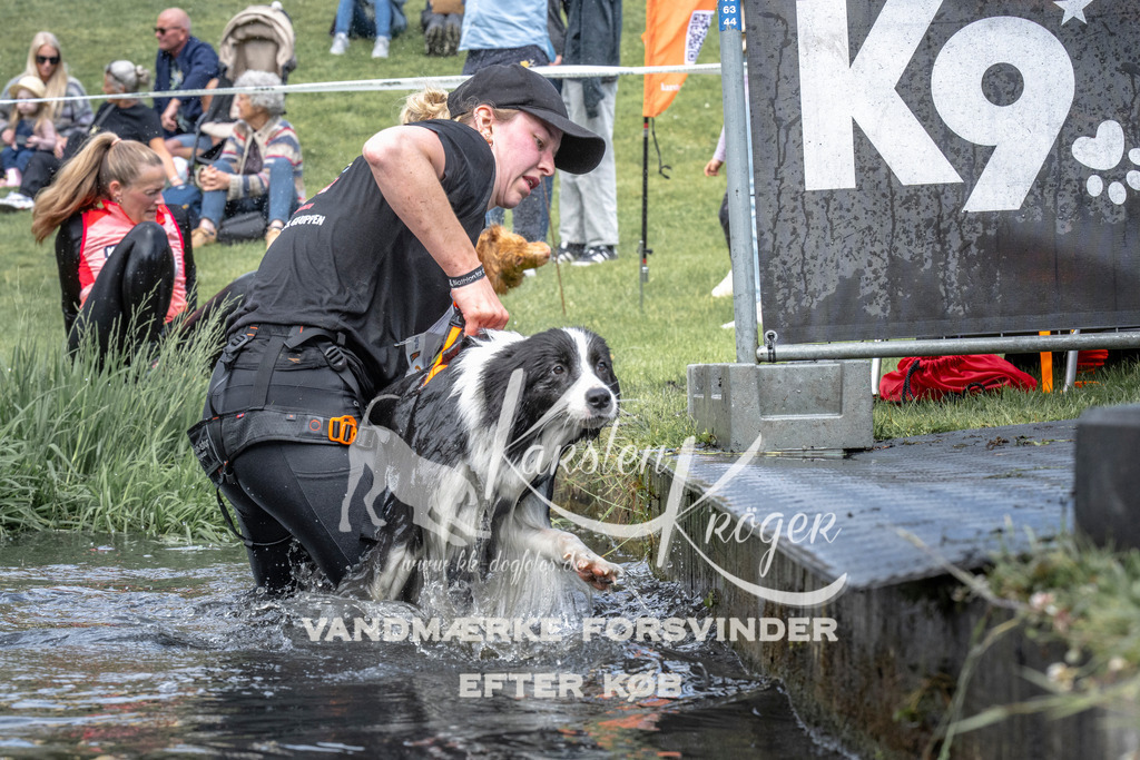 1129_ZZ92493 | kk-dogfotos