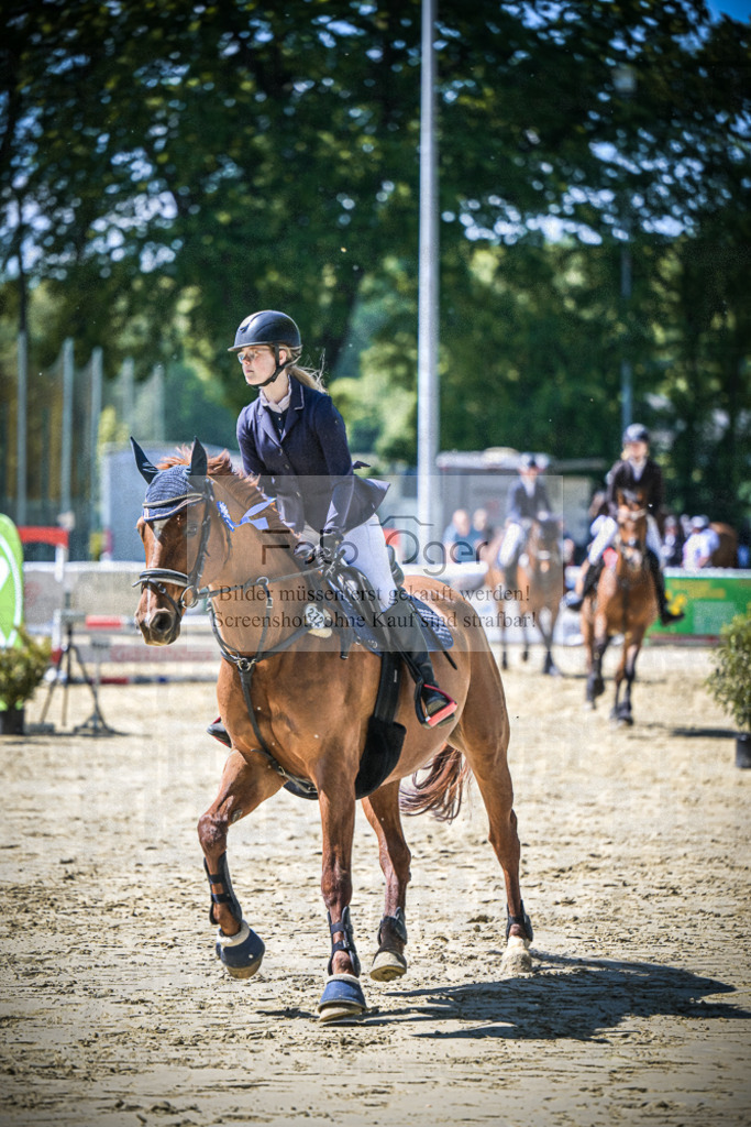 DOS_0655 | Entdecke hochwertige Reitturnierfotos von Foto Oger. Professionell, emotional und authentisch – jetzt Lieblingsmomente im Shop bestellen.Deutschlandweite Turnierfotografie. - Realisiert mit Pictrs.com