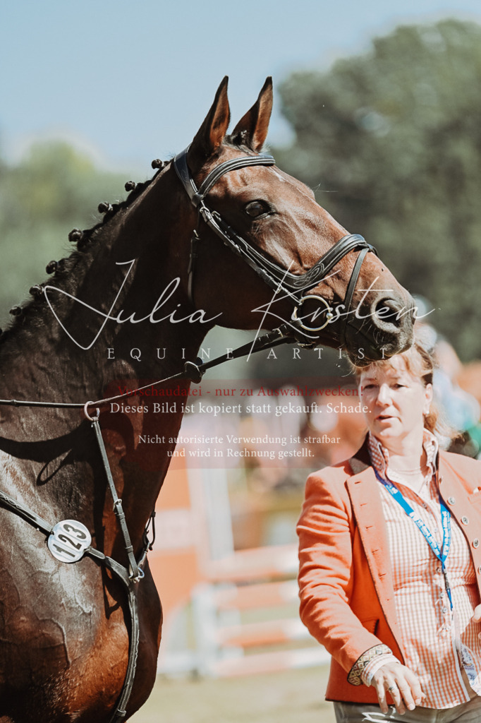 DSC_0148 | Pferde- und Turnierfotografie in Westsachsen. Pferdeportraits, Auftragszeichnungen und intuitive Kunst.