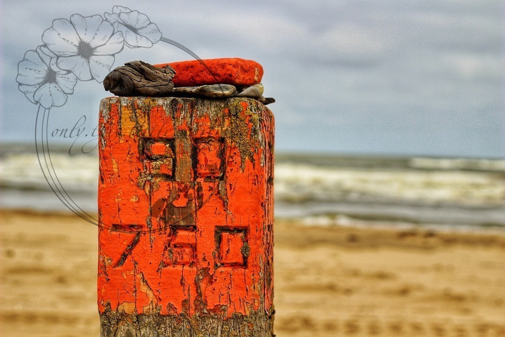 IMG_2479-01 | only.this.little.world - Realisiert mit Pictrs.com