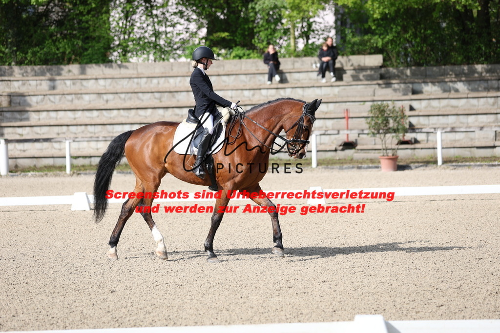 A40A3654 | lmwpictures - Realisiert mit Pictrs.com