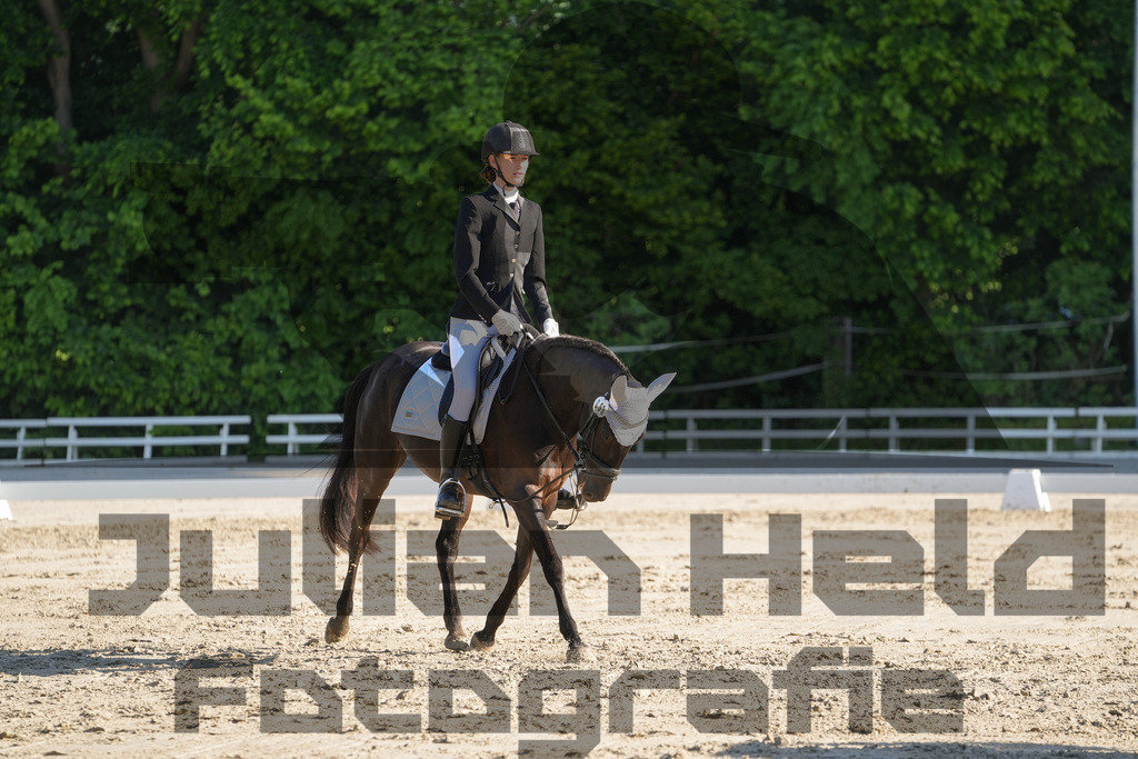 DSC02733 | Julian Held Fotografie - Realisiert mit Pictrs.com