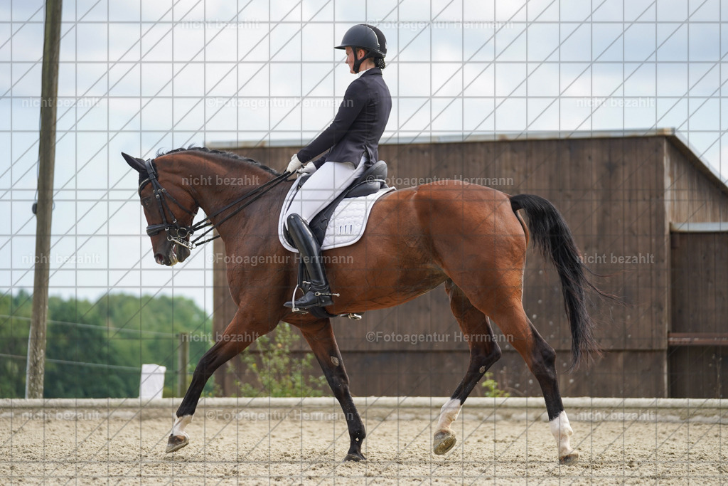 20230826-FAH06178 | Forstinning, 2023, Dressurturnier, Turniersportbilder, Turnierfotografen Bayern, Fotoagentur Herrmann, Reitsportfotografie, Turnierbilder