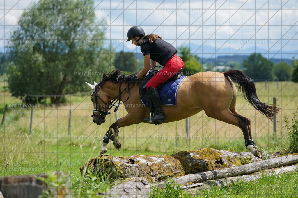 20240622-FAH07309 | Turnierfotografen Bayern, Reitsportbilder aus dem Geländekurs mit Felix Etzel auf dem Gut Waitzacker 2024