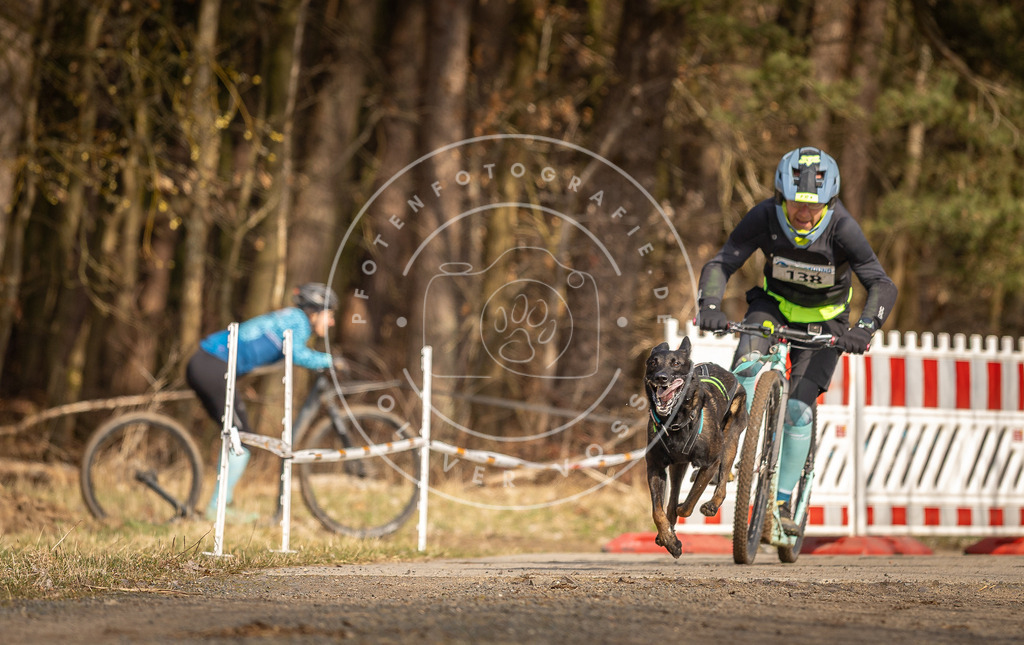 DV3A4703 | Hundefotografie, Tierfotograf, Pfotenfotografie, Fotoshooting Hund, Hunde Portrait, Hundesport, Hundeportraits, Heideshooting, Hunde, Sportfotograf, Hundefotograf, Turnierhundsport, THS,  - Realisiert mit Pictrs.com