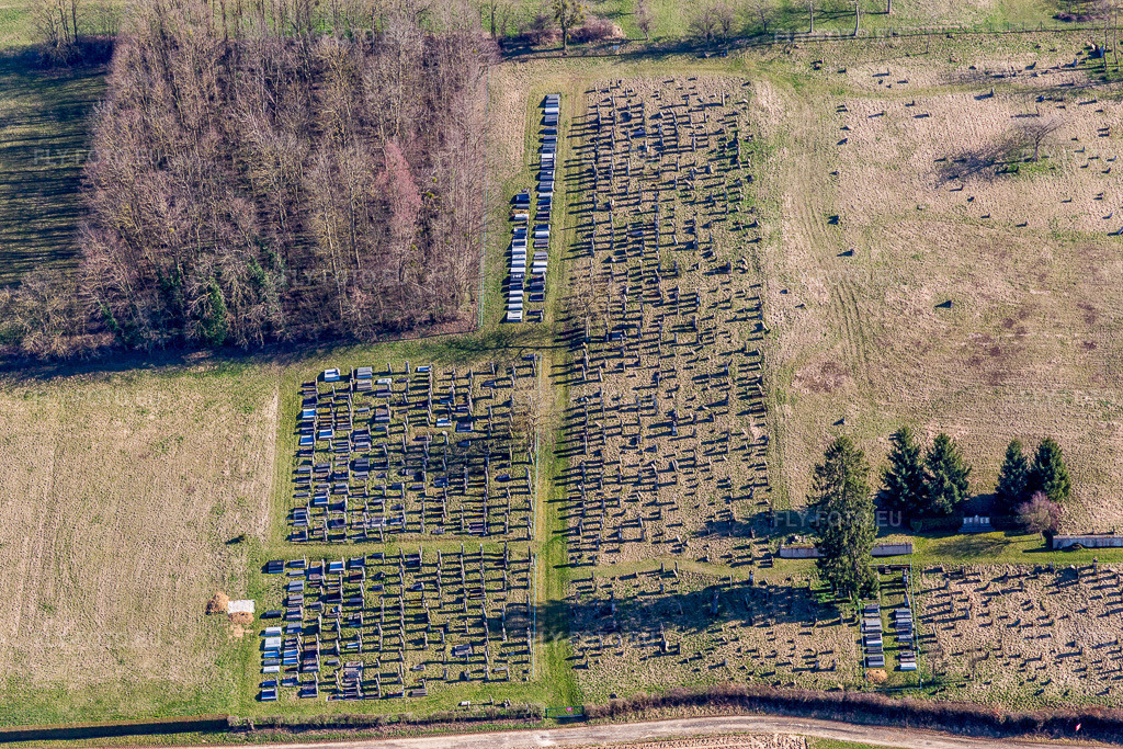 Vue aérienne: Cimetière à Ettendorf dans le département Bas Rhin, France. Photo: IMG_097507.jpg prise le 16/03/2017 par Werner Riehm/FLY-FOTO.eu – Résolution de l'original: 5472 x 3648 px