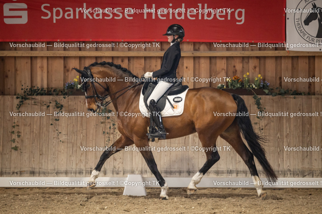 _D5A9004 | Emotionale Pferde- & People-Fotografie rund um Heidelberg, Leimen & Umgebung. Natürliche Fotos von Pferd, Mensch & Familie. Jetzt Termin sichern!