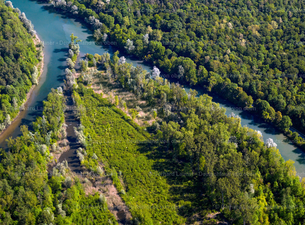 3096300 | Rheinauen bei Weisweil