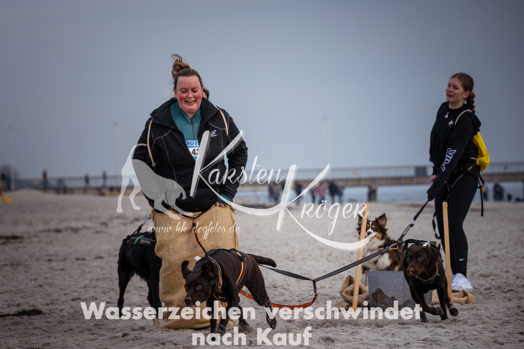 1300_ZZ97552 | kk-dogfotos