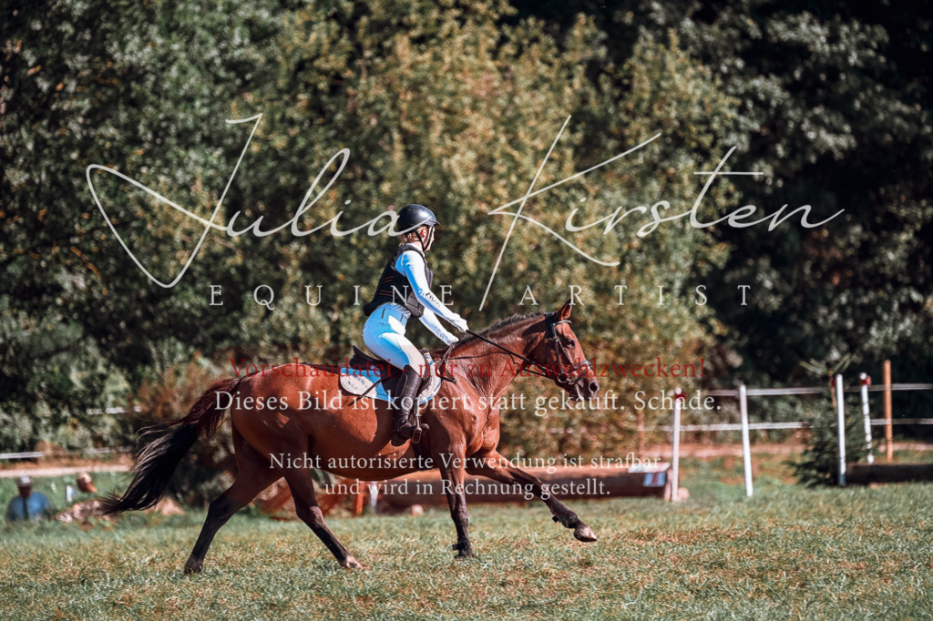 DSC_0675 | Pferde- und Turnierfotografie in Westsachsen. Pferdeportraits, Auftragszeichnungen und intuitive Kunst.