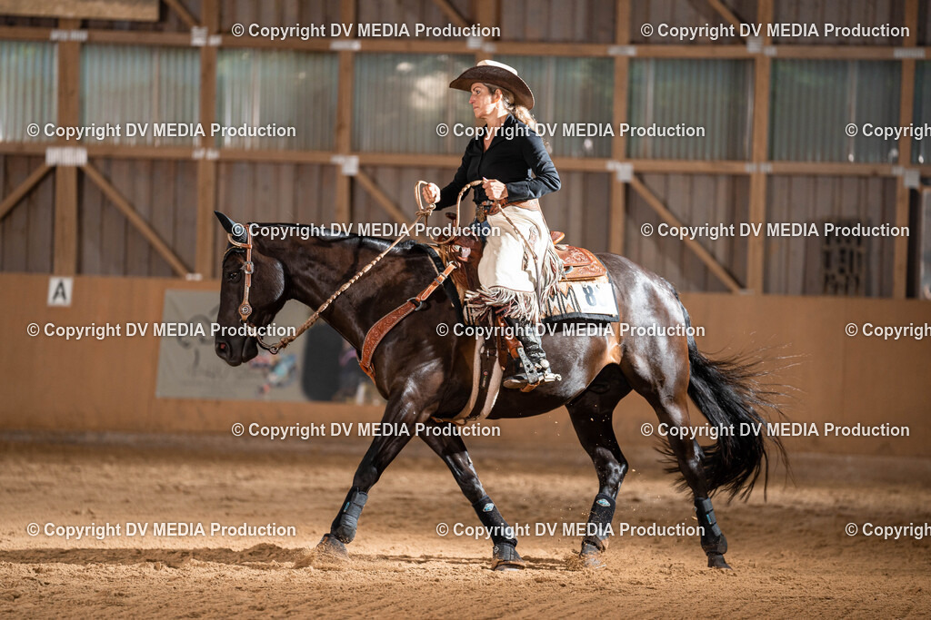 Losheim Tag 1-61 | dv-media-shop - Realisiert mit Pictrs.com