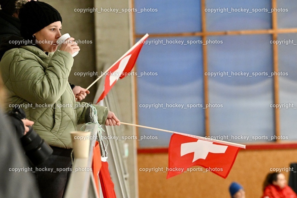 Z9B_3388 | hockey sports photos, Pressefotos, Sportfotos, hockey247, win 2day icehockeyleague, Handball Austria, Floorball Austria, ÖVV, Kärntner Eishockeyverband, KEHV, KFV, Kärntner Fussballverband, Österreichischer Volleyballverband, Alps Hockey League, ÖFB, 