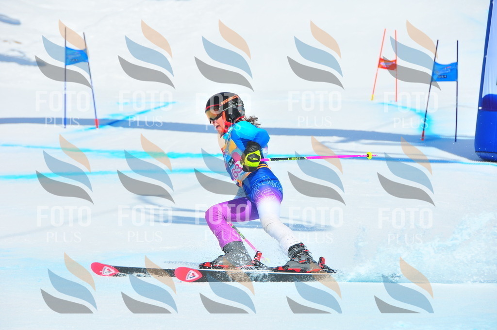 DSC_5189 | holidayphoto