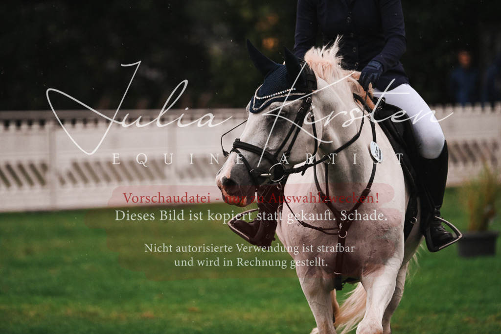 DSC_6120 | Pferde- und Turnierfotografie in Westsachsen. Pferdeportraits, Auftragszeichnungen und intuitive Kunst.