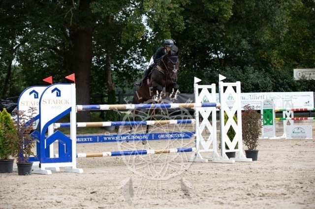 2B4A2482 | pixelfaenger - Realisiert mit Pictrs.com