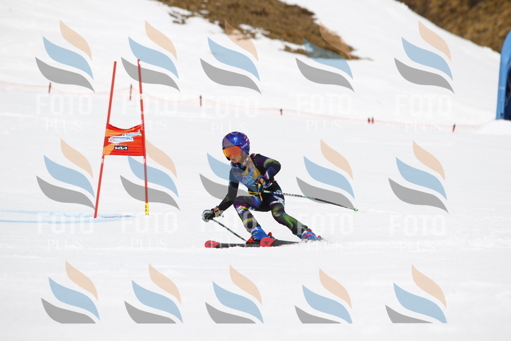 _U3G6667 | holidayphoto