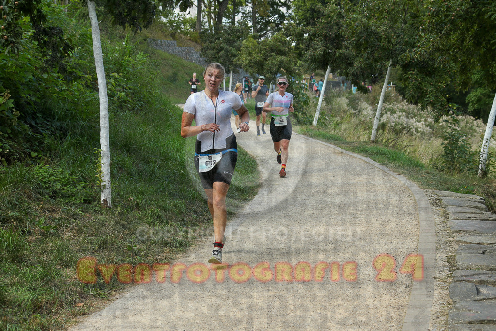 250824_1434_EX1_6687 | Sportfotografie im Rhein-Sieg Kreis, Köln, Bonn, NRW, Rheinland Pfalz, Hessen, etc. Unser Tätigkeitsfeld umfasst den Laufsport vom Volkslauf über den Marathon, Duathlon, Triathon bis zum Ultralauf wie Kölnpfad Ultra oder Schindertrail.