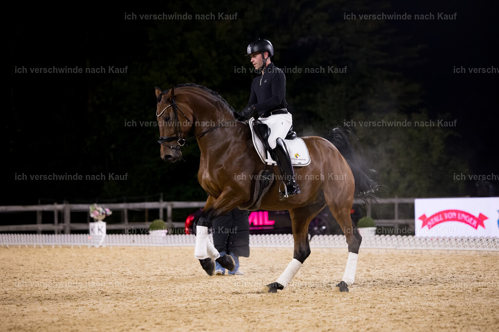 FHC2025 Isabell Werth-26397 | working equitationturnier fotograf videograf stoibphotography marixx film working equitation deutschland reitsport turnierfotografie eventfotografie equestrian events