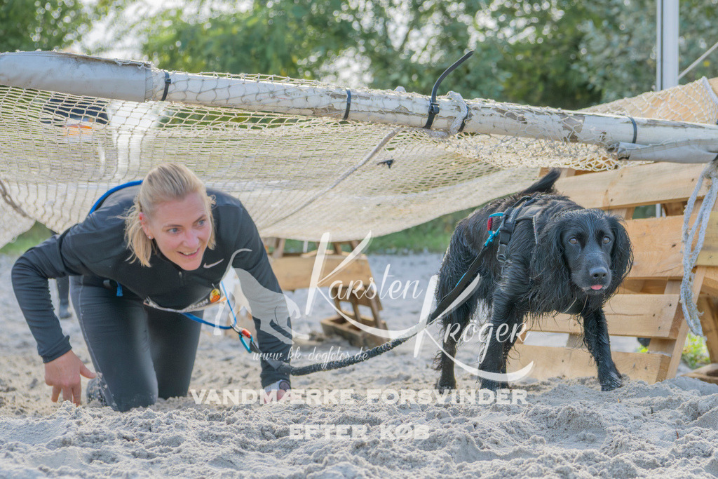 1244_ZZ93045 | kk-dogfotos