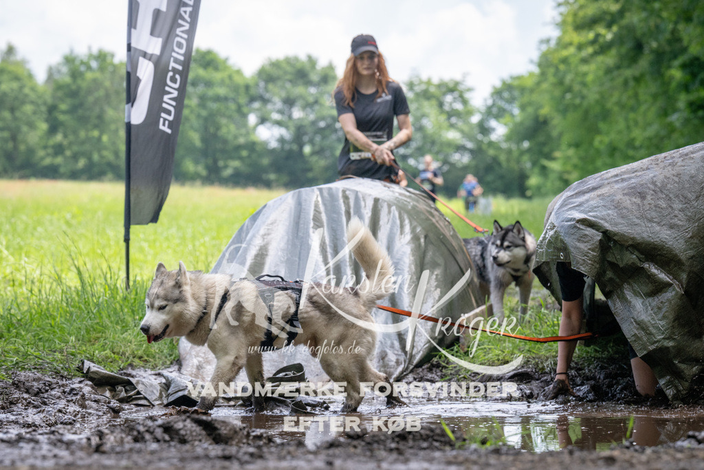 1137_ZZ93382 | kk-dogfotos