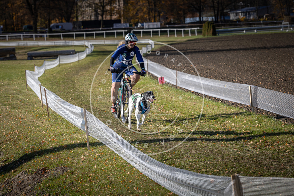 CaniXpix_DV3A7490 | Hundefotografie, Tierfotograf, Pfotenfotografie, Fotoshooting Hund, Hunde Portrait, Hundesport, Hundeportraits, Heideshooting, Hunde, Sportfotograf, Hundefotograf, Turnierhundsport, THS,  - Realisiert mit Pictrs.com