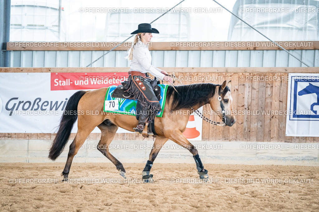 DSC07587 | Pferdegrafie