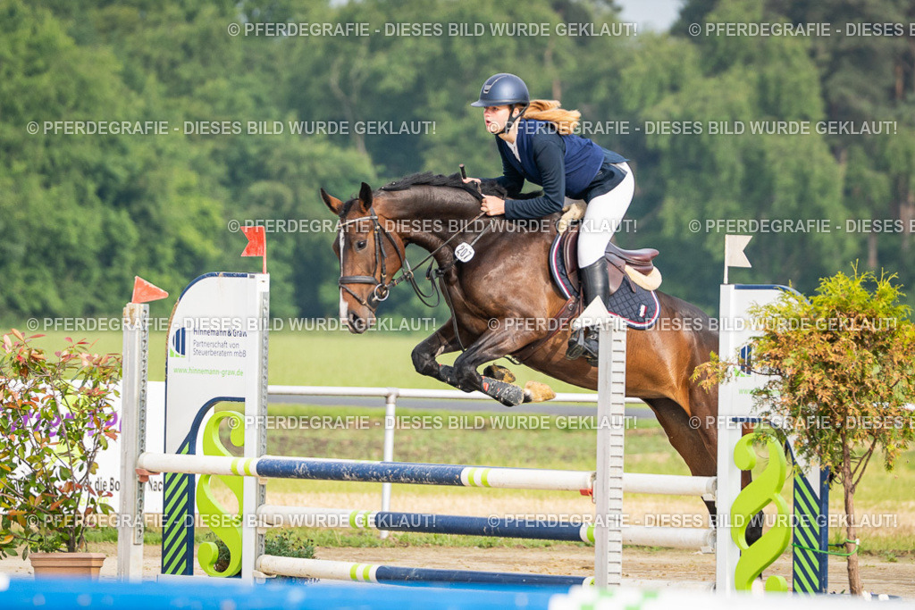 DSC08266 | Pferdegrafie