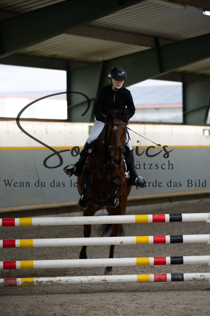 A7V02458 | Pferdefotograf