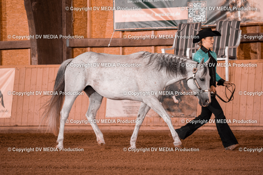 NE201502 | dv-media-shop - Realisiert mit Pictrs.com