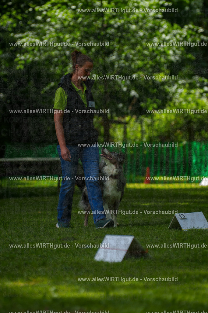@allesWIRTHgut_Tierfotografie - www.allesWIRTHgut.de - 7R505920 | Professionelle Tierfotografie in Mönchengladbach von Daniel Wirth (allesWIRTHgut). Liebevolle & natürliche Bilder von Hunden & Katzen für unvergessliche Erinnerungen.