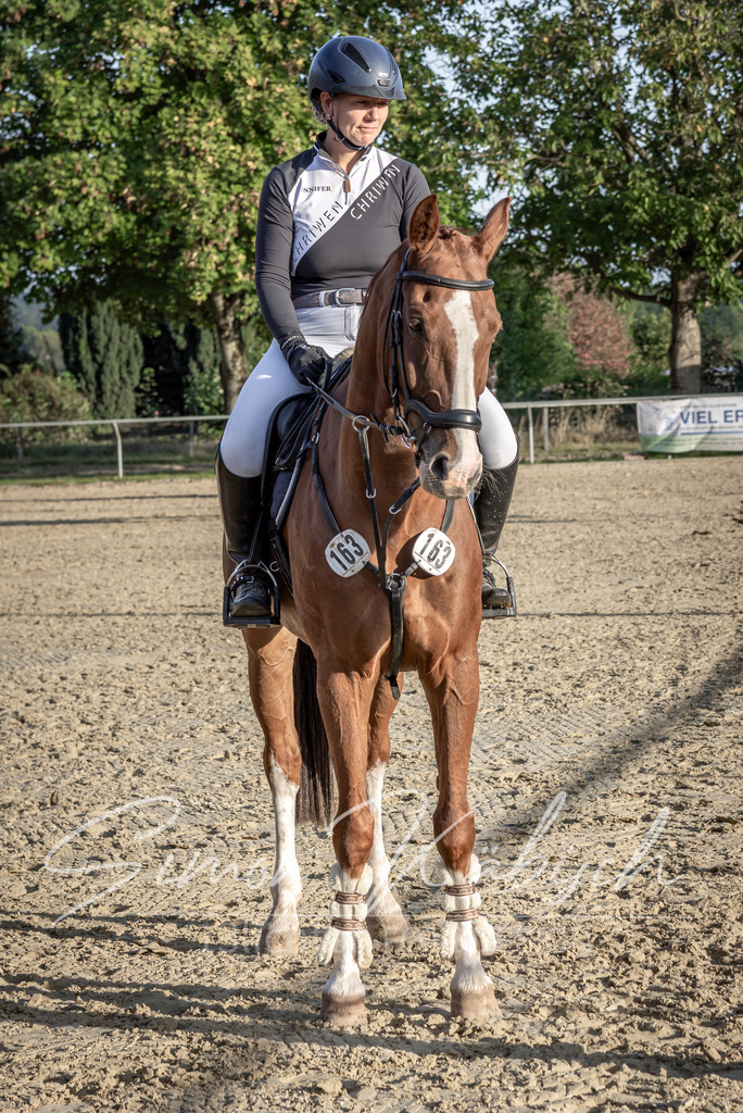 20250907-_3LI4928 | Tierfotografie Pferde, Hunde, Katzen, Haustiere.
Turnierfotografie Reitturniere, Reiten, Springreiten, Dressur in Hanau, dem Main-Kinzig-Kreis und dem Rhein-Main- Gebiet um Frankfurt
