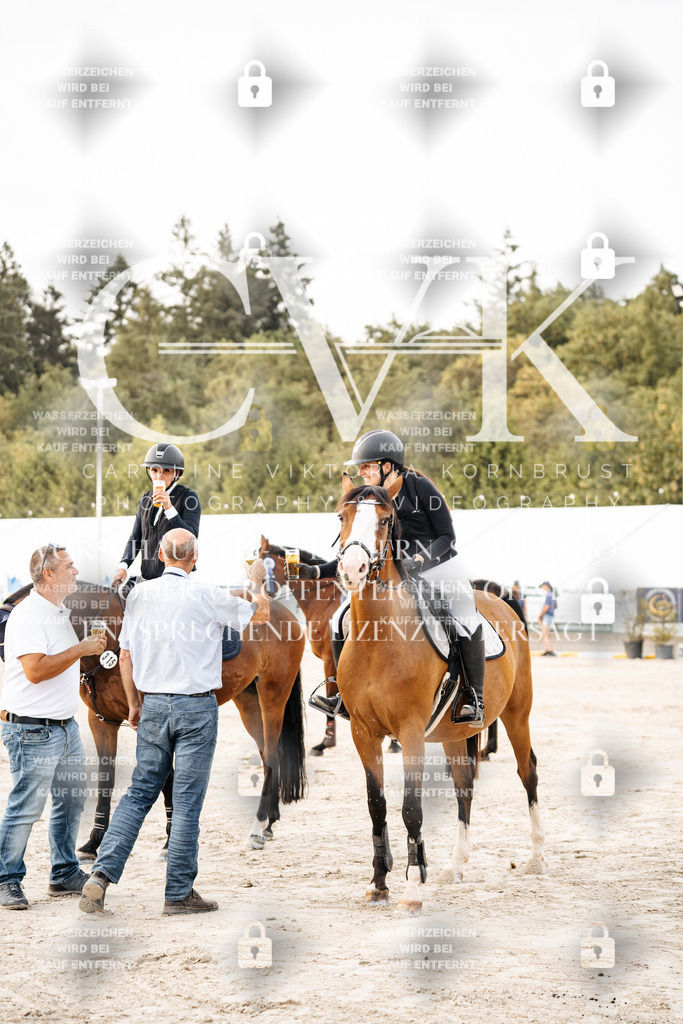 CK704262 | Turnierfotografie Pferdefotografie Trier Rheinland-Pfalz Pferdesport Reitsport Tierfotografie Sportfotografie Pferdevideo Pferdevideografie Equestrianvideography equestrianphotography  - Realisiert mit Pictrs.com