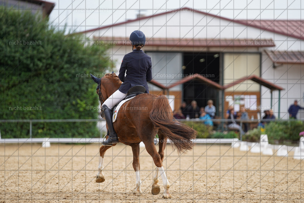 20240825-FAH00235 | Turnierbilder, Reitsportfotos, LAPO, Landesponyturnier, Turnierfotografen Bayern