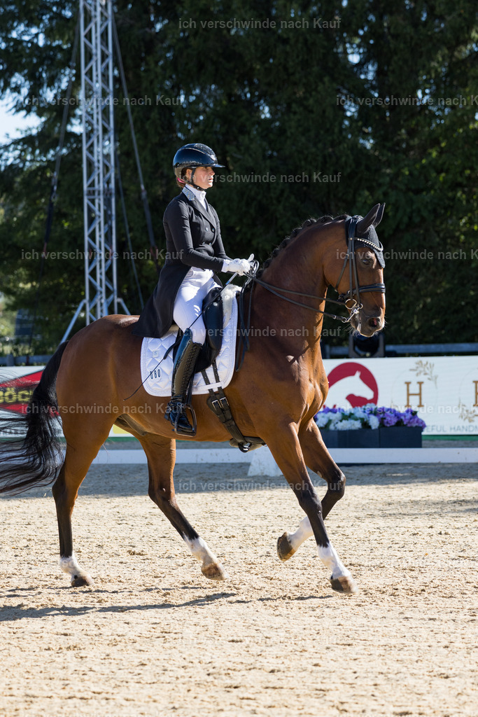 FHC2026_P07_80_17382 | working equitationturnier fotograf videograf stoibphotography marixx film working equitation deutschland reitsport turnierfotografie eventfotografie equestrian events